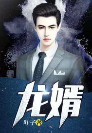 《龙婿（完本）》小说封面