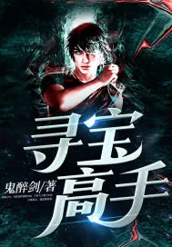 《寻宝高手》小说封面
