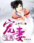 《宠妻宝典》小说封面