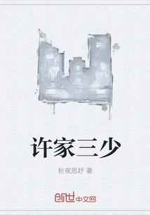 《许家三少》小说封面