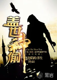 《盖世神偷》小说封面