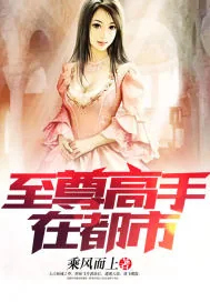 《至尊高手在都市.》小说封面