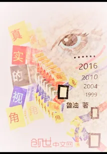 《真实的视角》小说封面