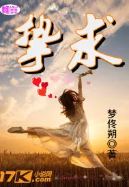《挚求》小说封面