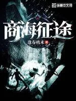 《商海征途》小说封面