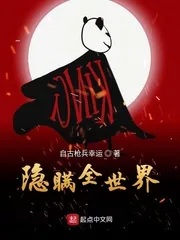 《隐瞒全世界》小说封面