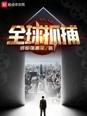 《全球抓捕》小说封面