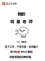 《我的明星老师》小说封面