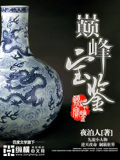 《巅峰宝鉴》小说封面