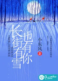 《长街有雪也有你》小说封面