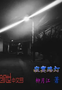 《寂寞路灯》小说封面