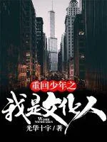 《重回少年之我是文化人》小说封面