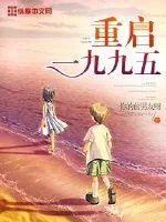 《重启一九九五》小说封面