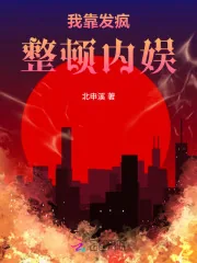 《我靠发疯整顿内娱》小说封面