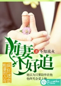 《前妻不好追》小说封面