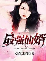 《最强仙婿》小说封面