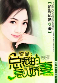 《蜜爱：总裁的惹火娇妻》小说封面