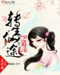 《转生仙途之追寻》小说封面