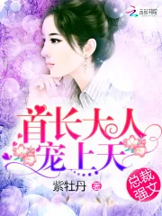 《首席大人，宠上天！》小说封面