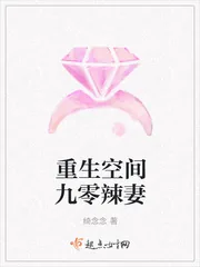 《重生空间九零辣妻》小说封面