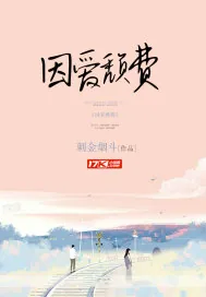 《因爱颓费》小说封面