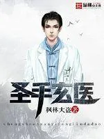 《圣手玄医》小说封面