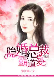 《隐婚总裁霸道爱》小说封面
