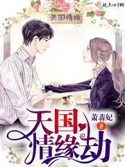 《天国情缘劫》小说封面
