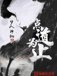 《点道为止》小说封面