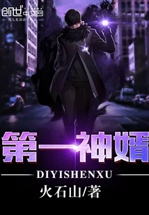 《第一神婿》小说封面