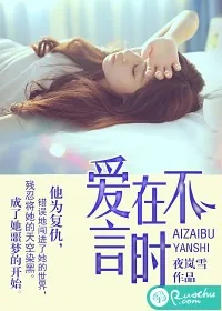 《爱在不言时》小说封面
