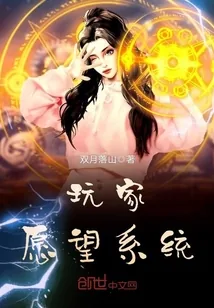 《玩家愿望系统》小说封面