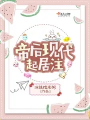 《帝后现代起居注》小说封面