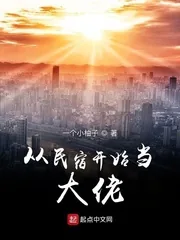 《从民宿开始当大佬》小说封面