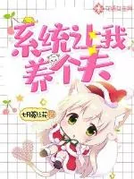 《七零生活：系统让我养个夫》小说封面