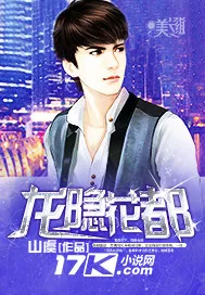 《龙隐花都》小说封面