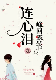 《连心泪之峰回露转》小说封面