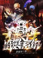 《骑士武装系统》小说封面
