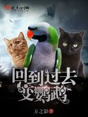 《回到过去变鹦鹉》小说封面