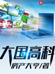 《大国高科》小说封面