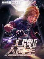 《王牌大高手》小说封面