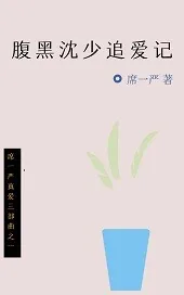 《腹黑沈少追爱记》小说封面