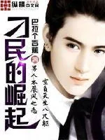 《刁民的崛起》小说封面
