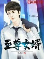 《至尊女婿》小说封面