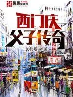 《西门庆父子传奇》小说封面
