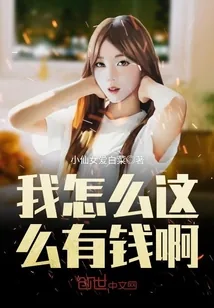 《我怎么这么有钱啊》小说封面
