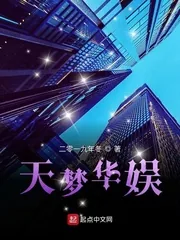 《天梦华娱》小说封面