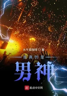 《我真的是男神》小说封面