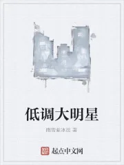 《低调大明星》小说封面