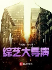《综艺大导演》小说封面